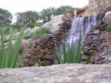 Pond